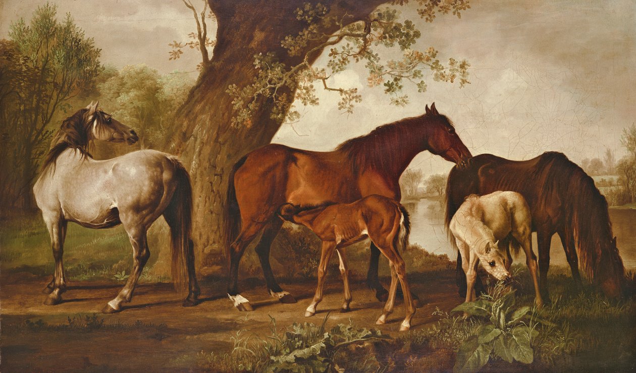 Kısrak ve Taylar by George Stubbs