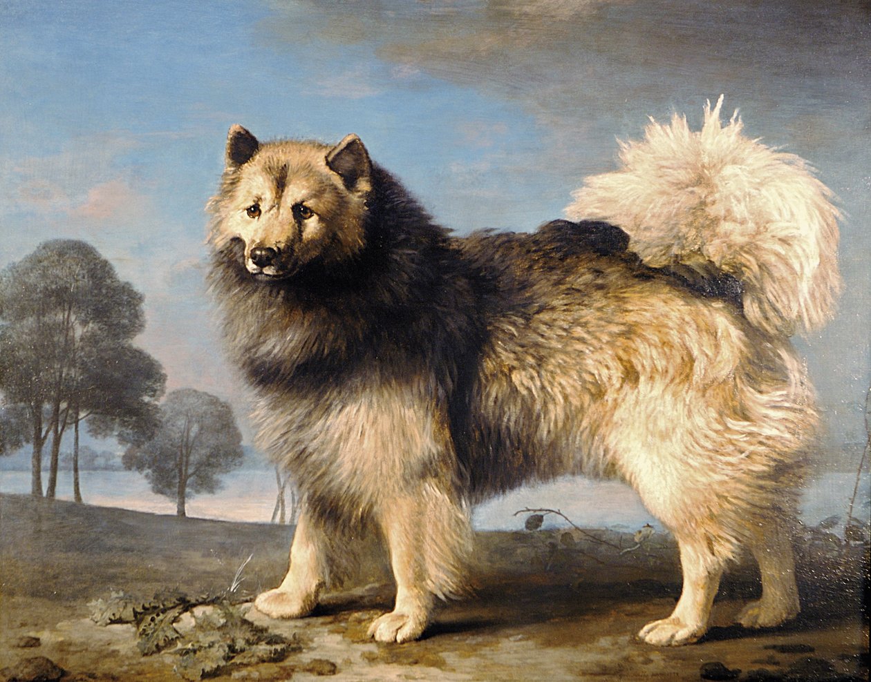 Türk, 1778 by George Stubbs