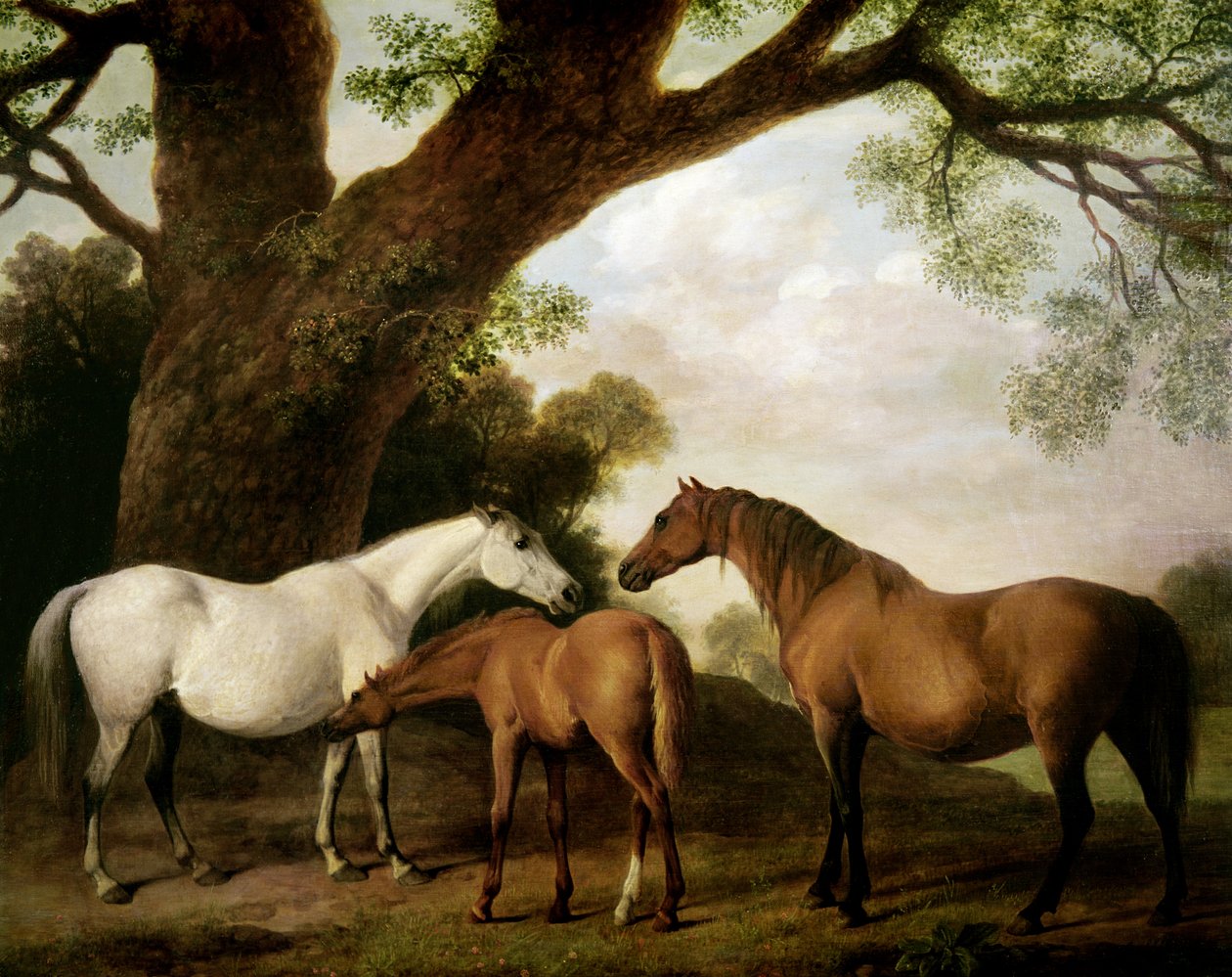 İki Shafto Kısrak ve Bir Tay, 1774 by George Stubbs