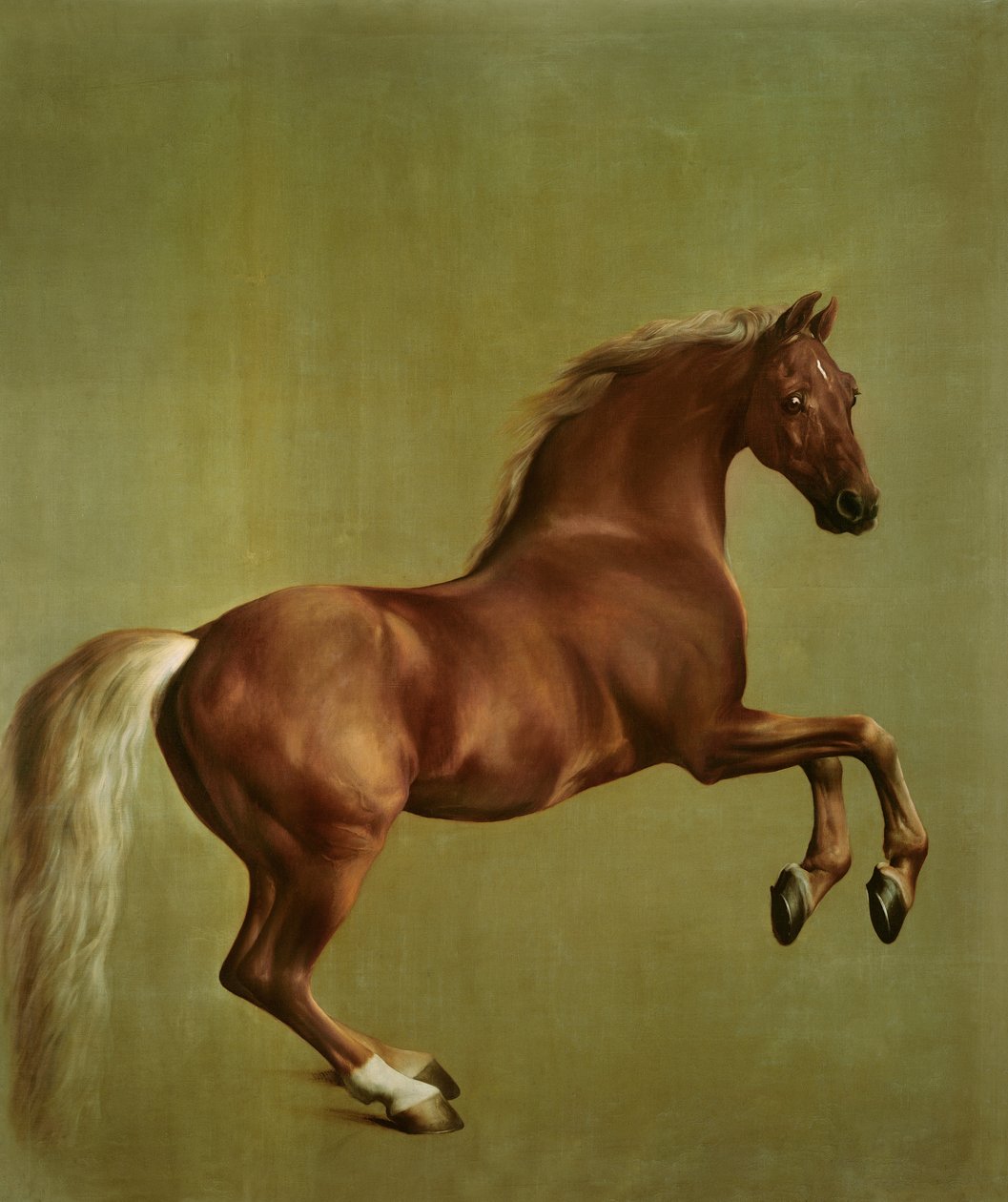 düdük, 1762 by George Stubbs