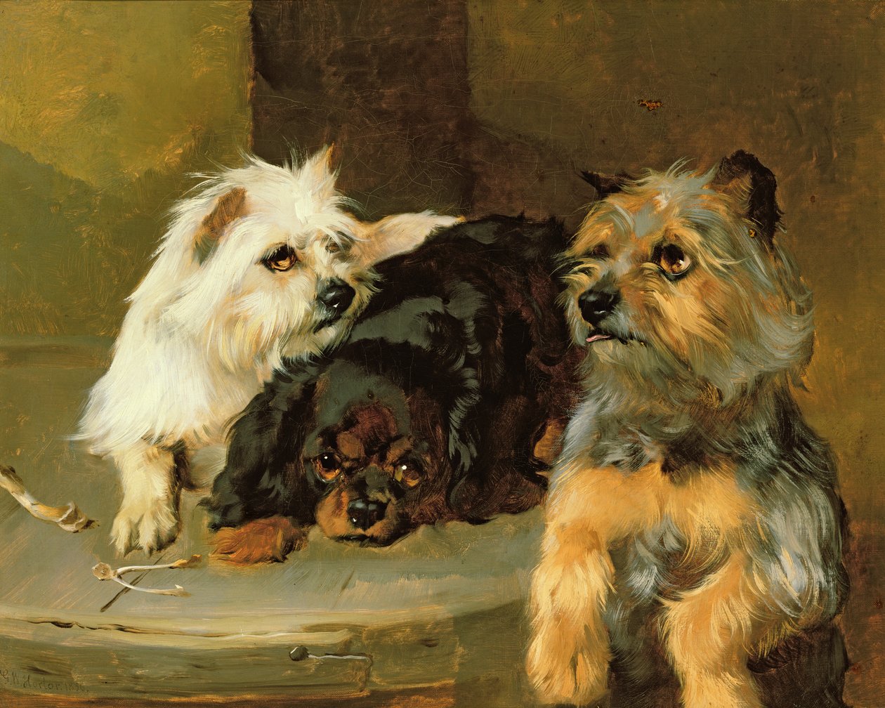 Zavallı Köpeğe Kemik Ver by George Wiliam Horlor