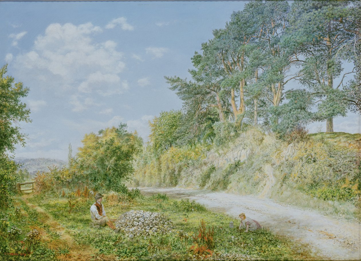 Taşkıran, 1868 by George William Mote