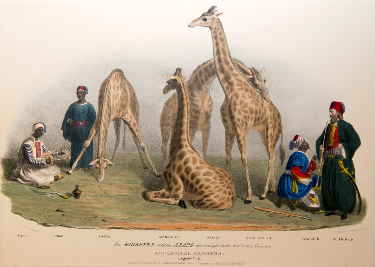 Araplarla Zürafalar, 1836 by George the Elder Scharf