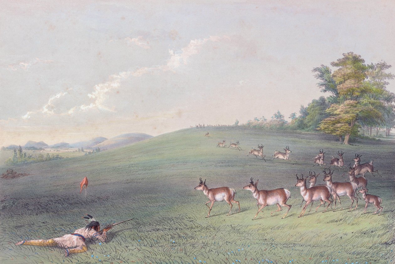 George Catlin'in Kuzey Amerika Kızılderili Portföyü by George (after) Catlin