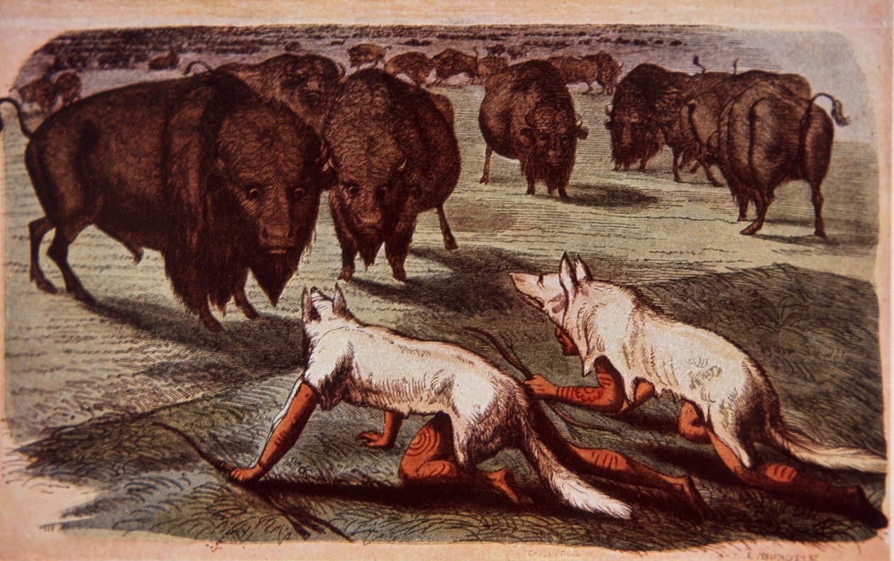 Kuzey Amerika Ovaları Kızılderilileri, kurt postları giyerek otlayan bufaloya sürünür, 1840 dolayları (renkli lito) by George (after) Catlin