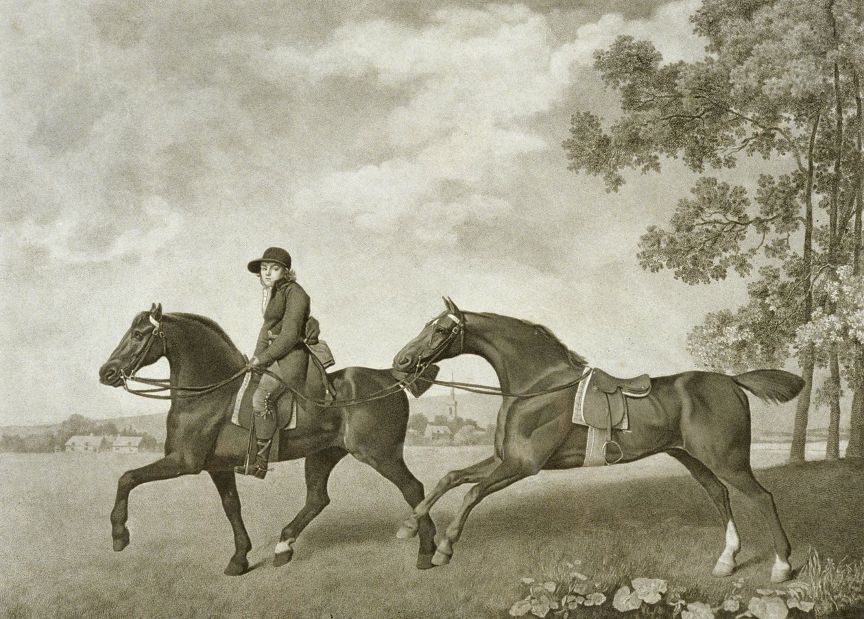 George Townley Stubbs tarafından kazınmış İki Hacks (bap.1748-c.1815) (litho) by George (after) Stubbs