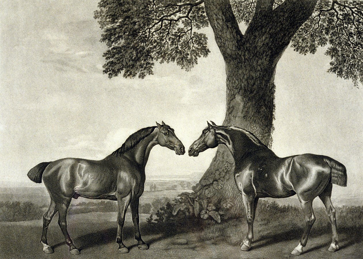 G.T. tarafından kazınmış İki Avcı Stubbs (bap.1748-c.1815) (lito) (ayrıca bkz. 266802) by George (after) Stubbs