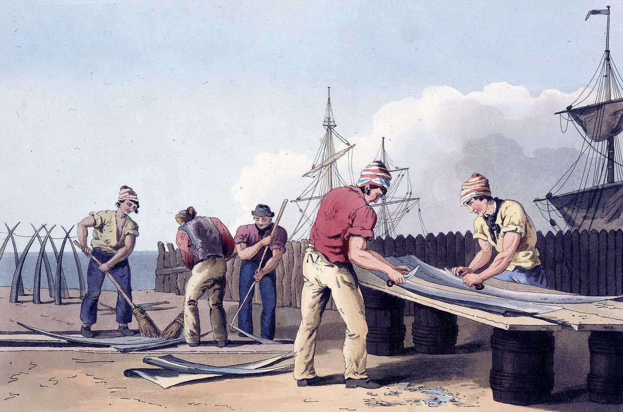 Robert Havell (1769-1832)1814 (lito) tarafından gravürlenen "Yorkshire kostümü "nden balina kalıntılarını kazıyan ve temizleyen balıkçılar. by George (after) Walker
