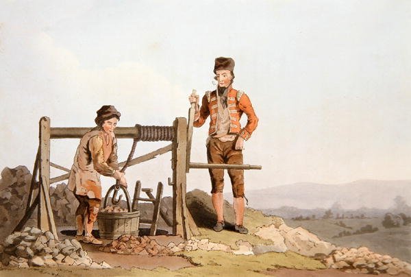 Robert Havell (1769-1832) 1814 (renkli lito) tarafından oyulmuş 