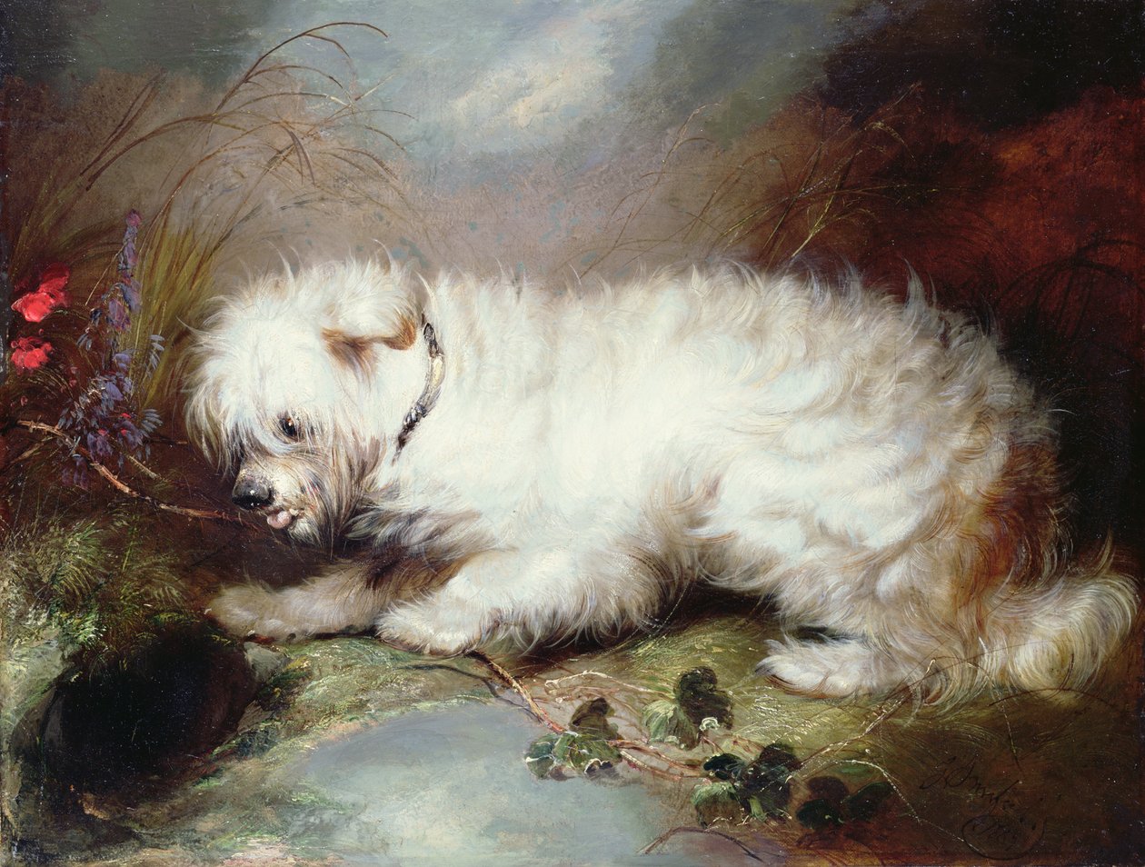 Nöbette, 1867 by George Armfield