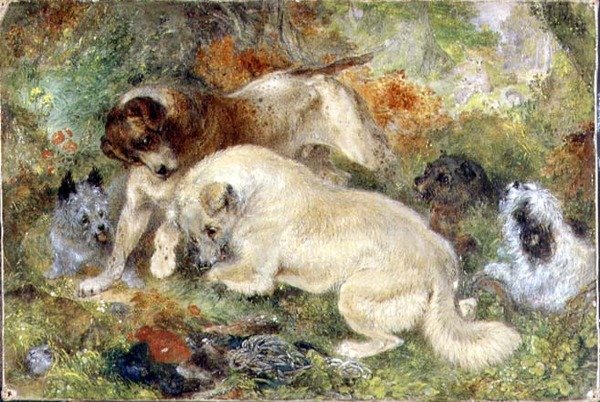 Ormanda Teriyerler ve Tavşanlar by George Armfield