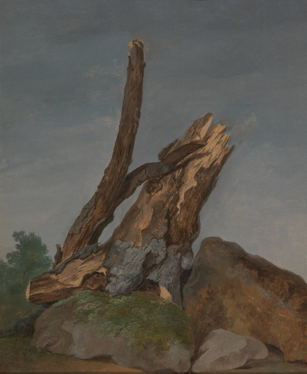 Kayalar ve Dallar Çalışması by George Augustus Wallis
