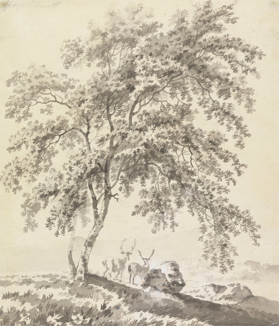 Geyiklerle Ağaç Çalışması (Peyzaj) by George Barret