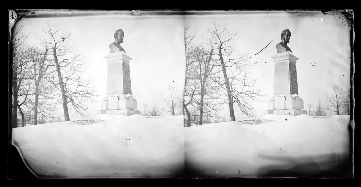 Paynes büstü, Prospect Park, Brooklyn, 1872-87 (ıslak-kolodion negatif) by George Bradford Brainerd