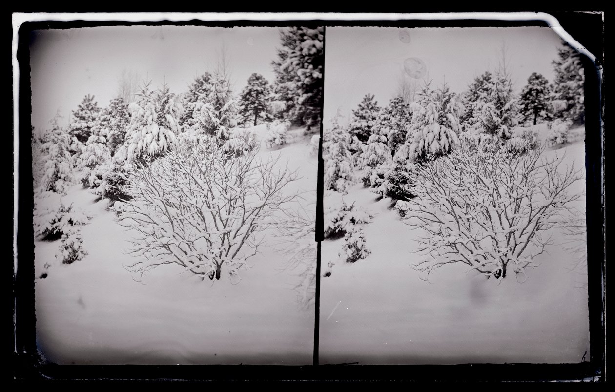 Prospect Park, Brooklyn, c.1872-87 (ıslak-kolodion negatif) by George Bradford Brainerd