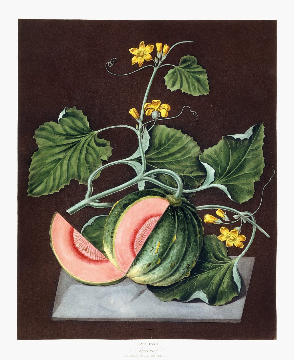 Kabak, 1812 by George Brookshaw