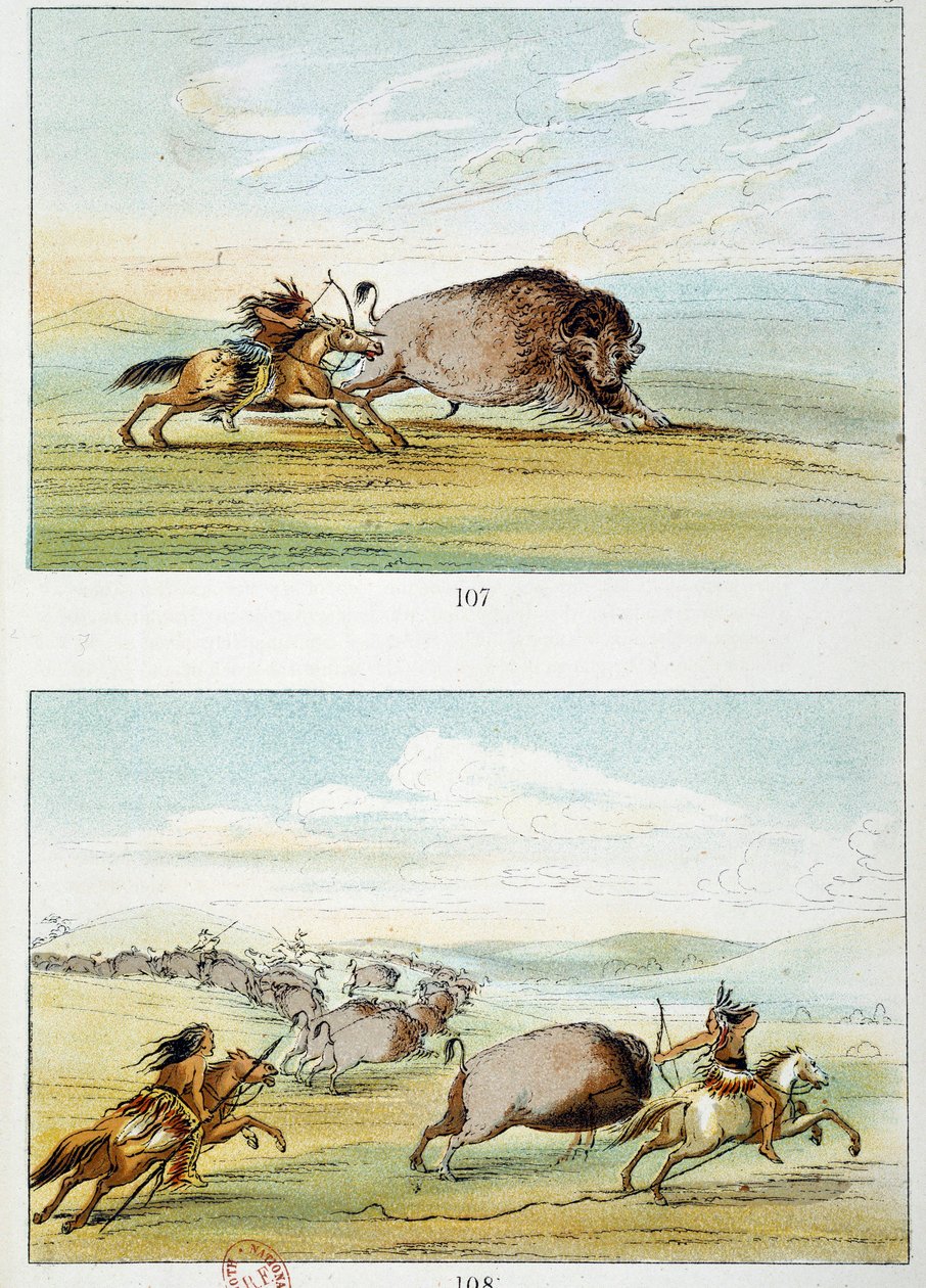 Amerikan Kızılderilileri: bizon avı. George Catlin