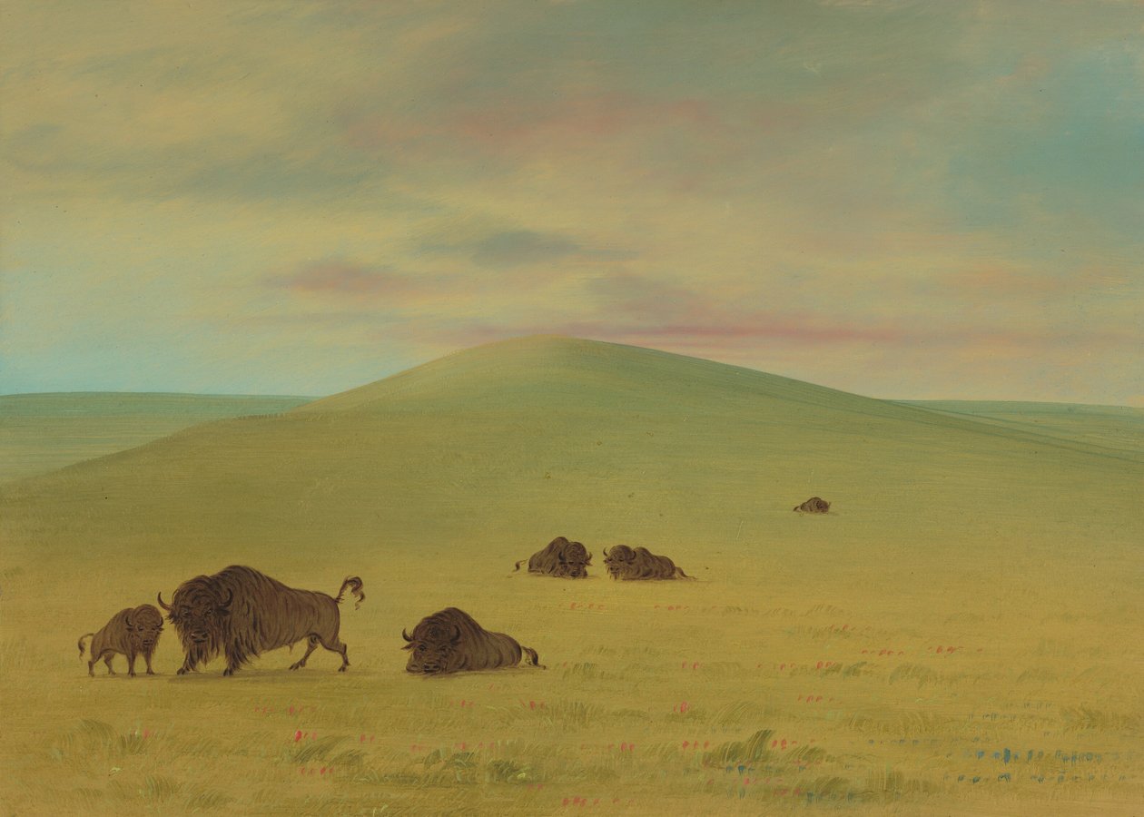 Amerikan Otlakları - Platte Çayırları, 18611869. by George Catlin
