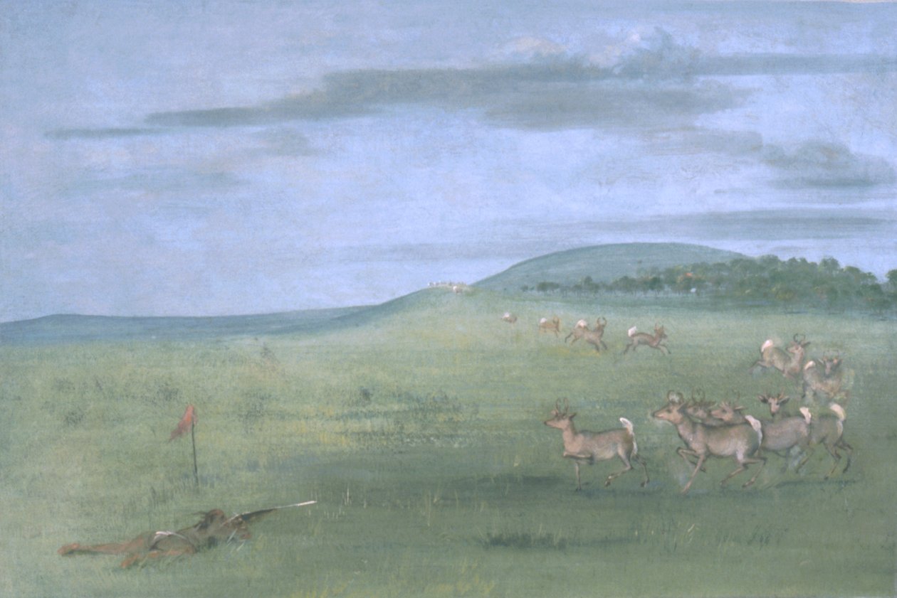 Antilop Atışı, Tuzağa Düşürülmüş by George Catlin