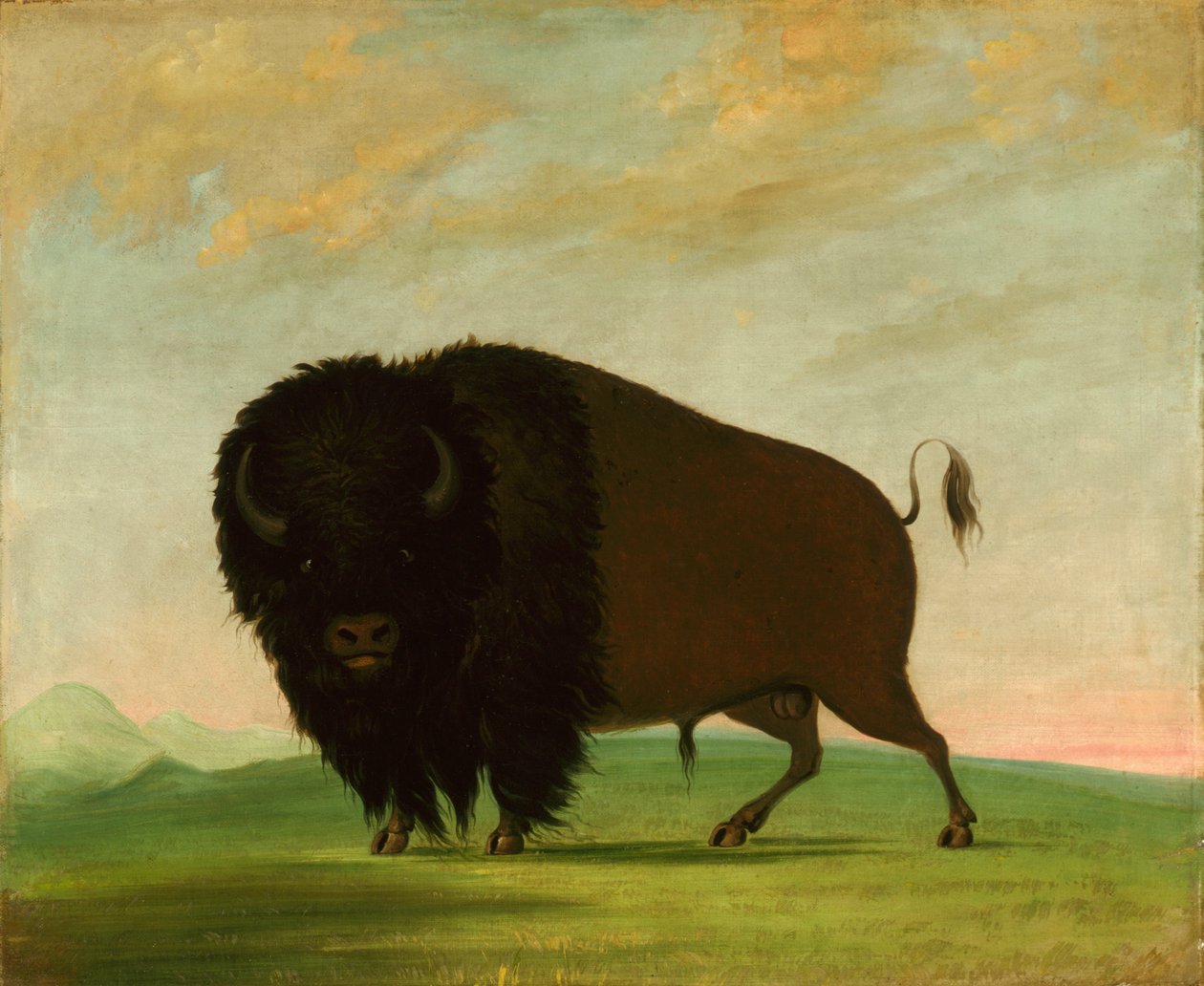  by George Catlin