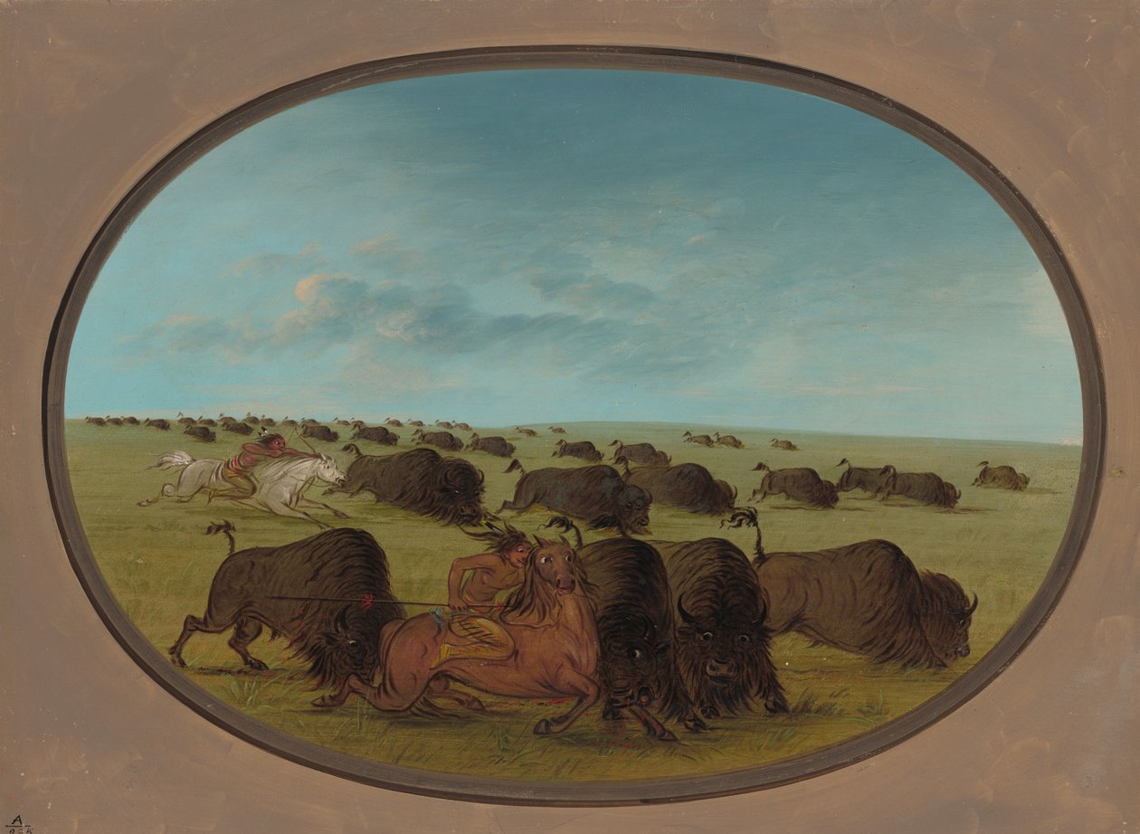 Buffalo Chase, Kazalar, 18611869. by George Catlin