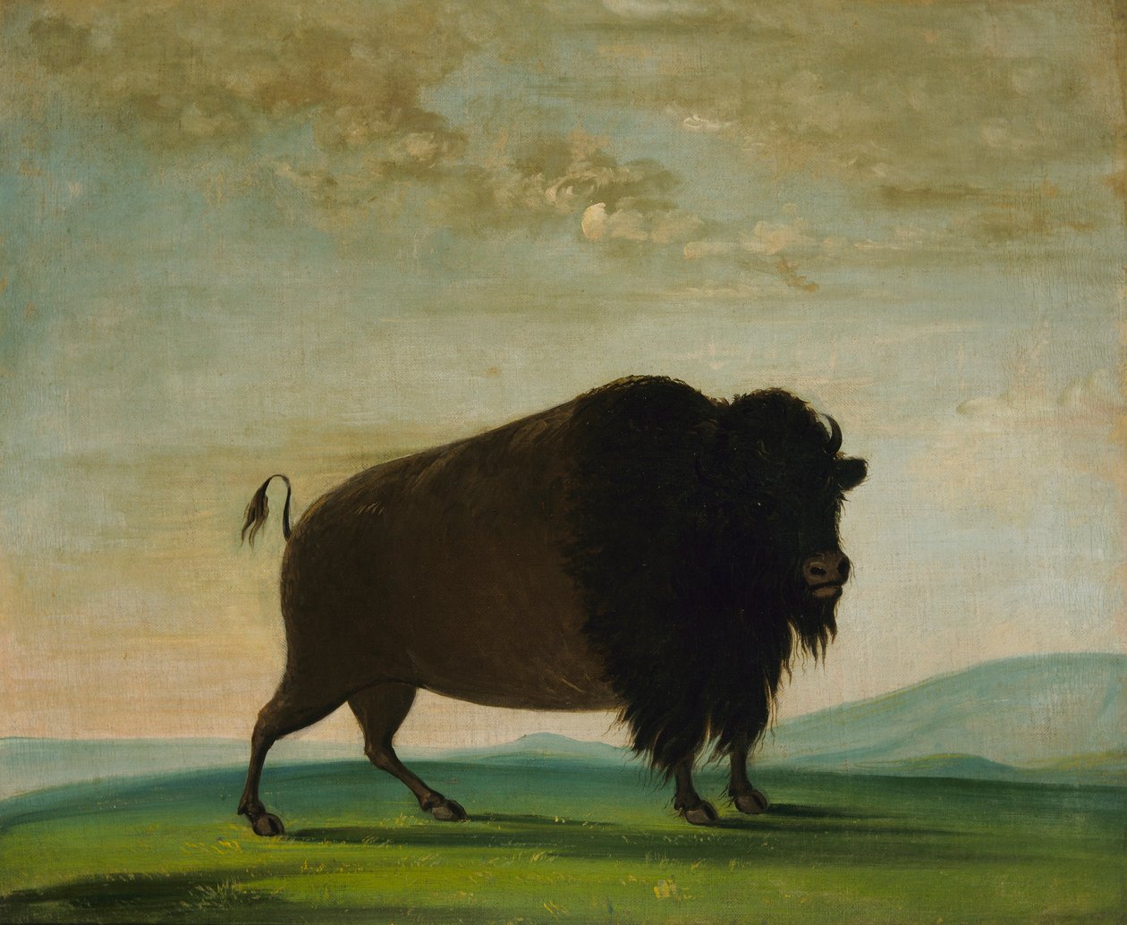  by George Catlin