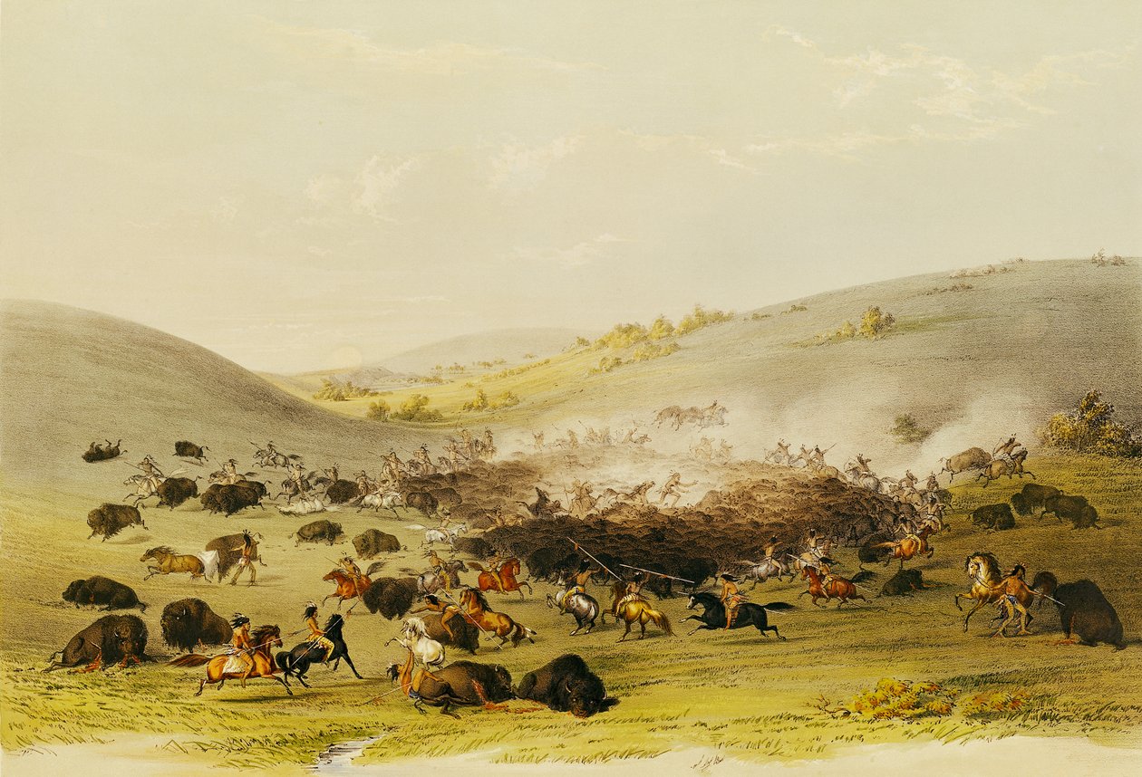 Bufalo Avı, Surround, c.1832 by George Catlin