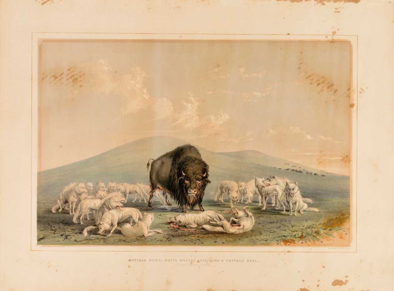  by George Catlin