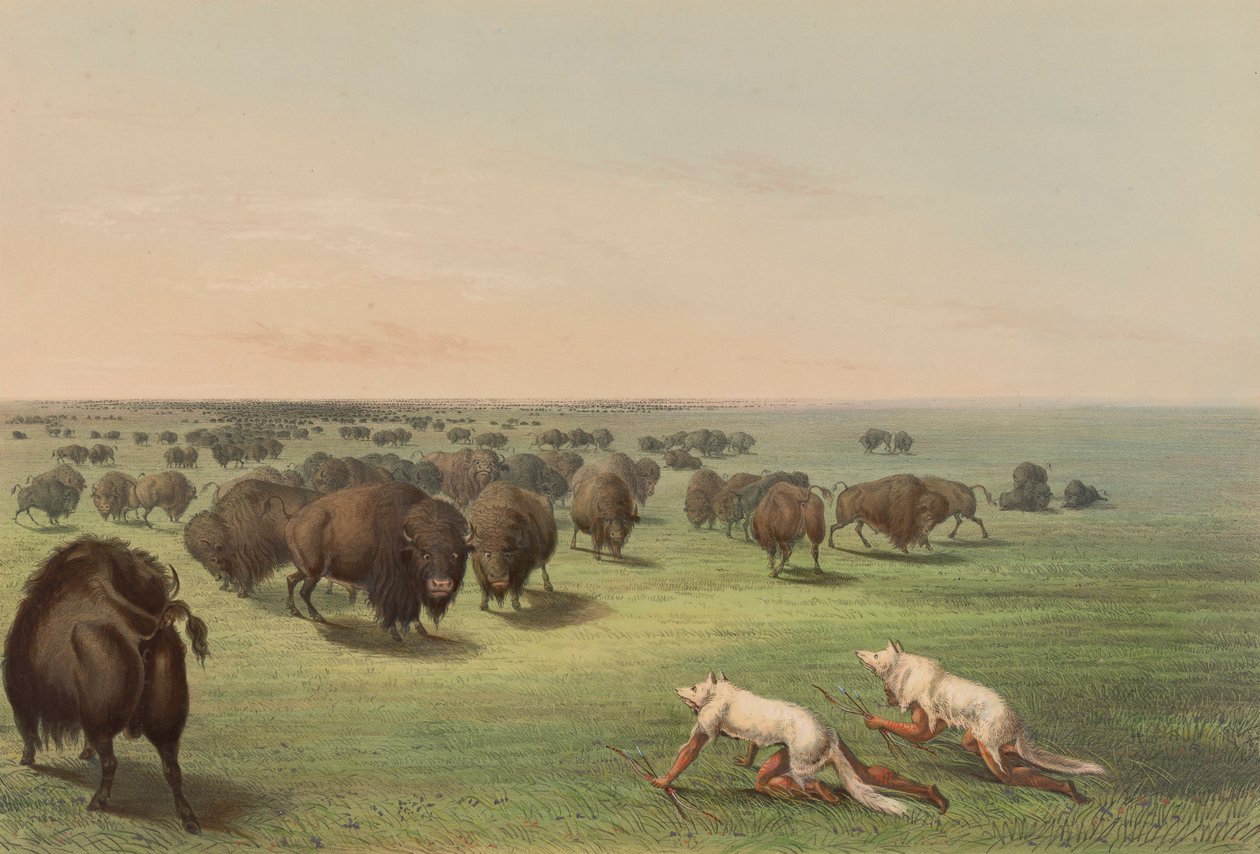 Bufalo Avı, Kurt Derili, pl. Kuzey Amerika Kızılderili Portföyünden 13 by George Catlin