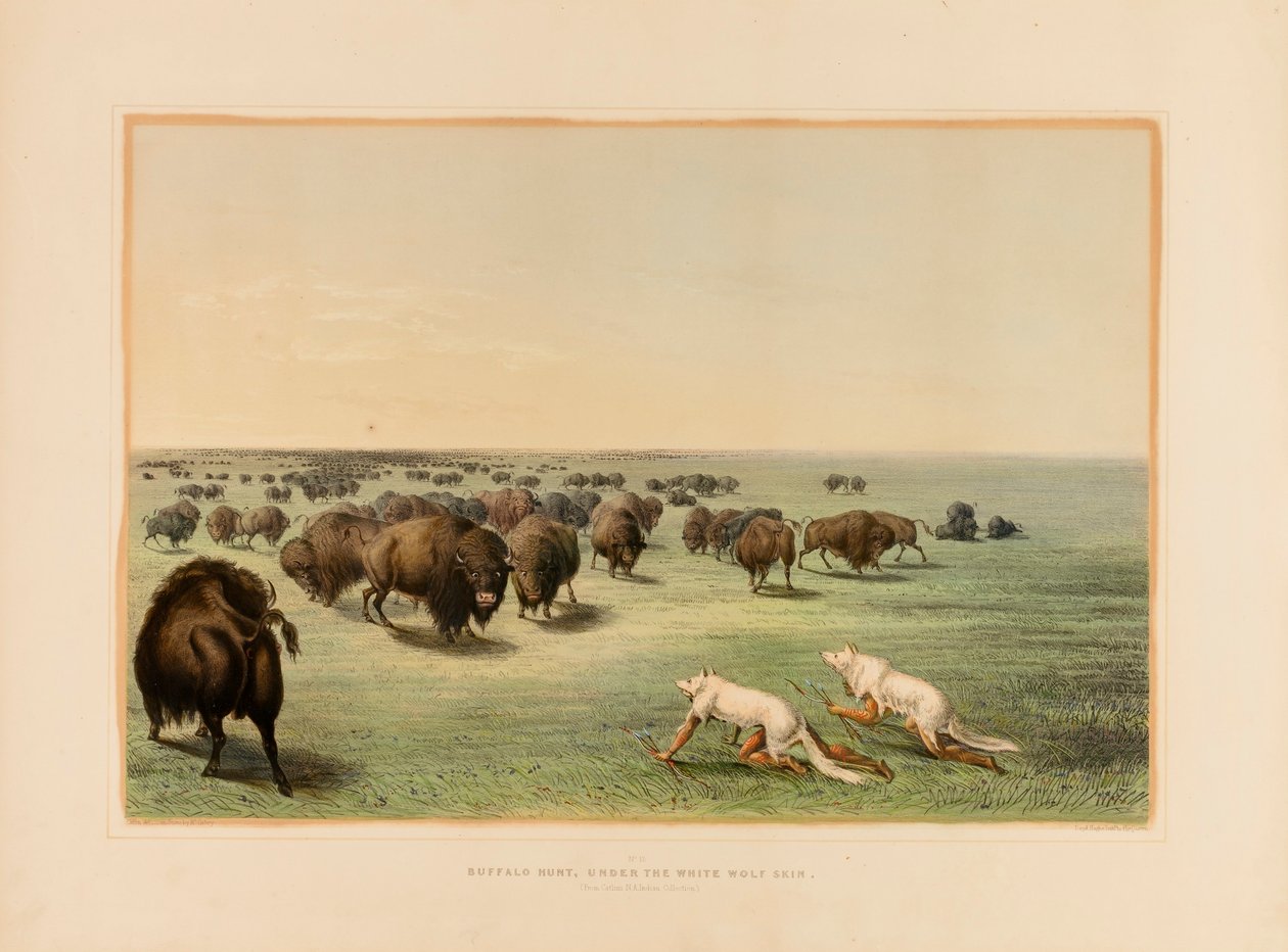  by George Catlin