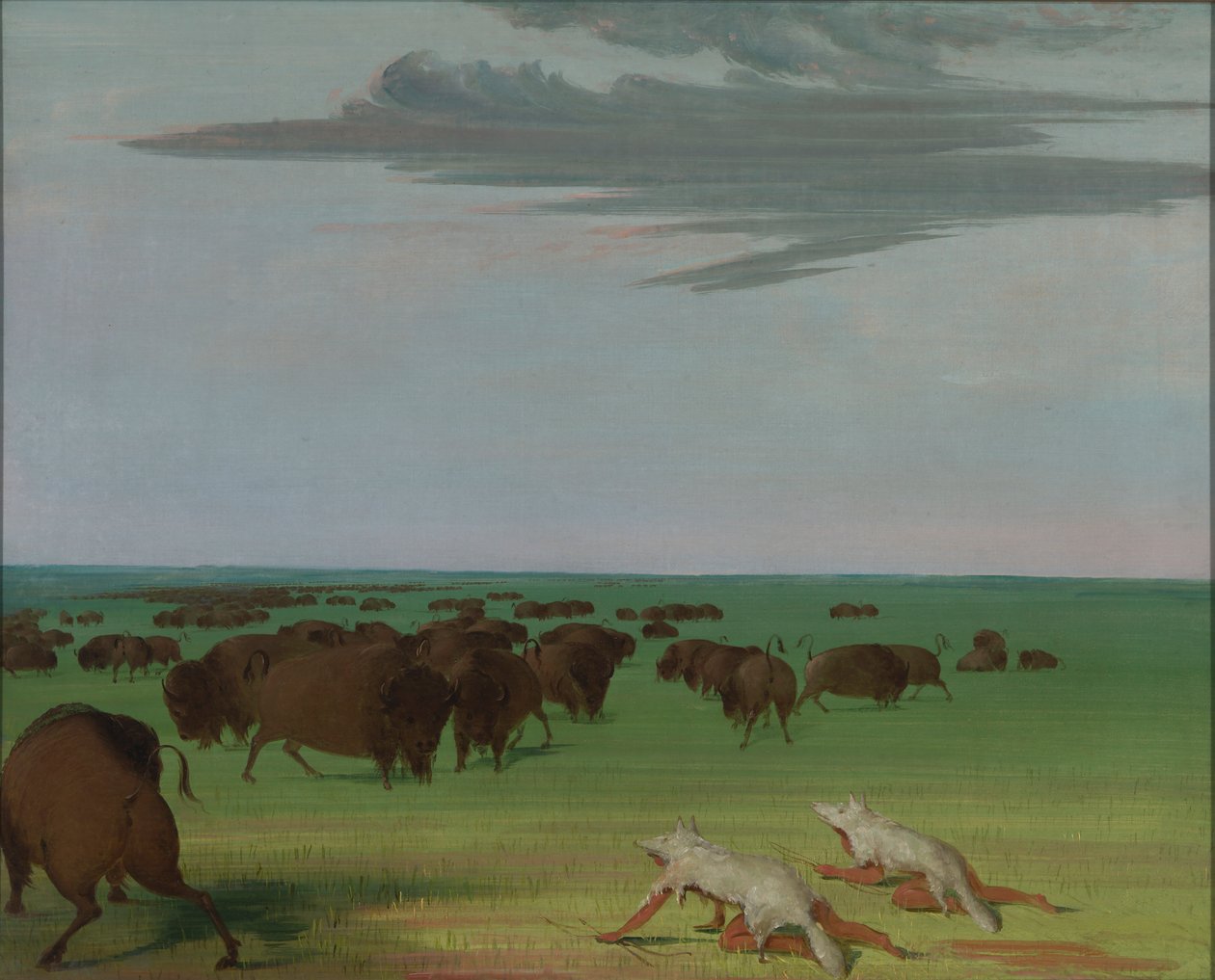  by George Catlin