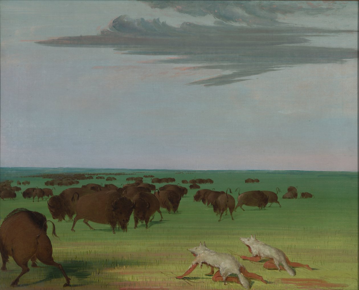 Kurt Derisi Maskesi Altında Bufalo Avı, 1832-1833. by George Catlin