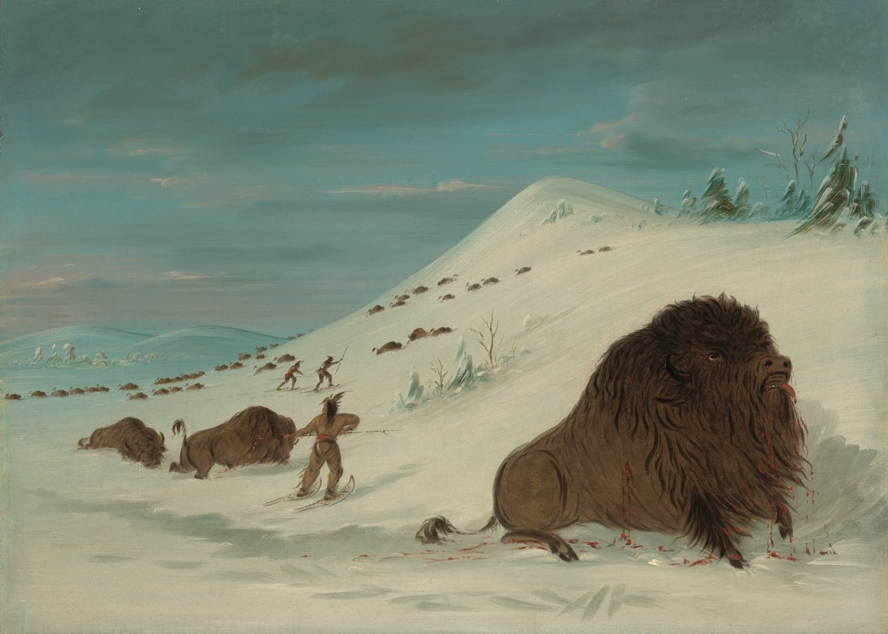 Kar Driftlerinde Buffalo Lancing - Sioux, 18611869. by George Catlin