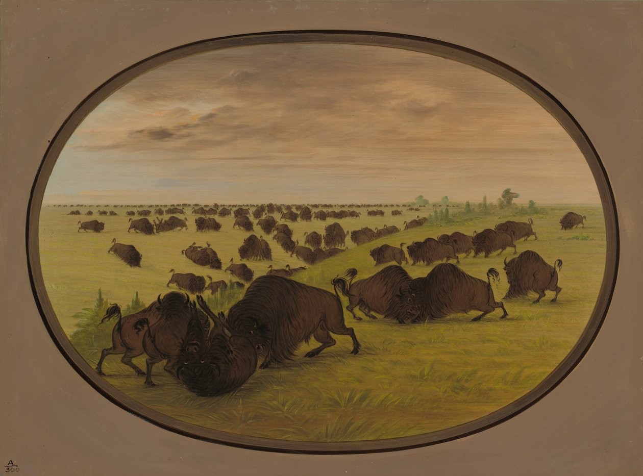 Boğa Dövüşü, 18611869. by George Catlin