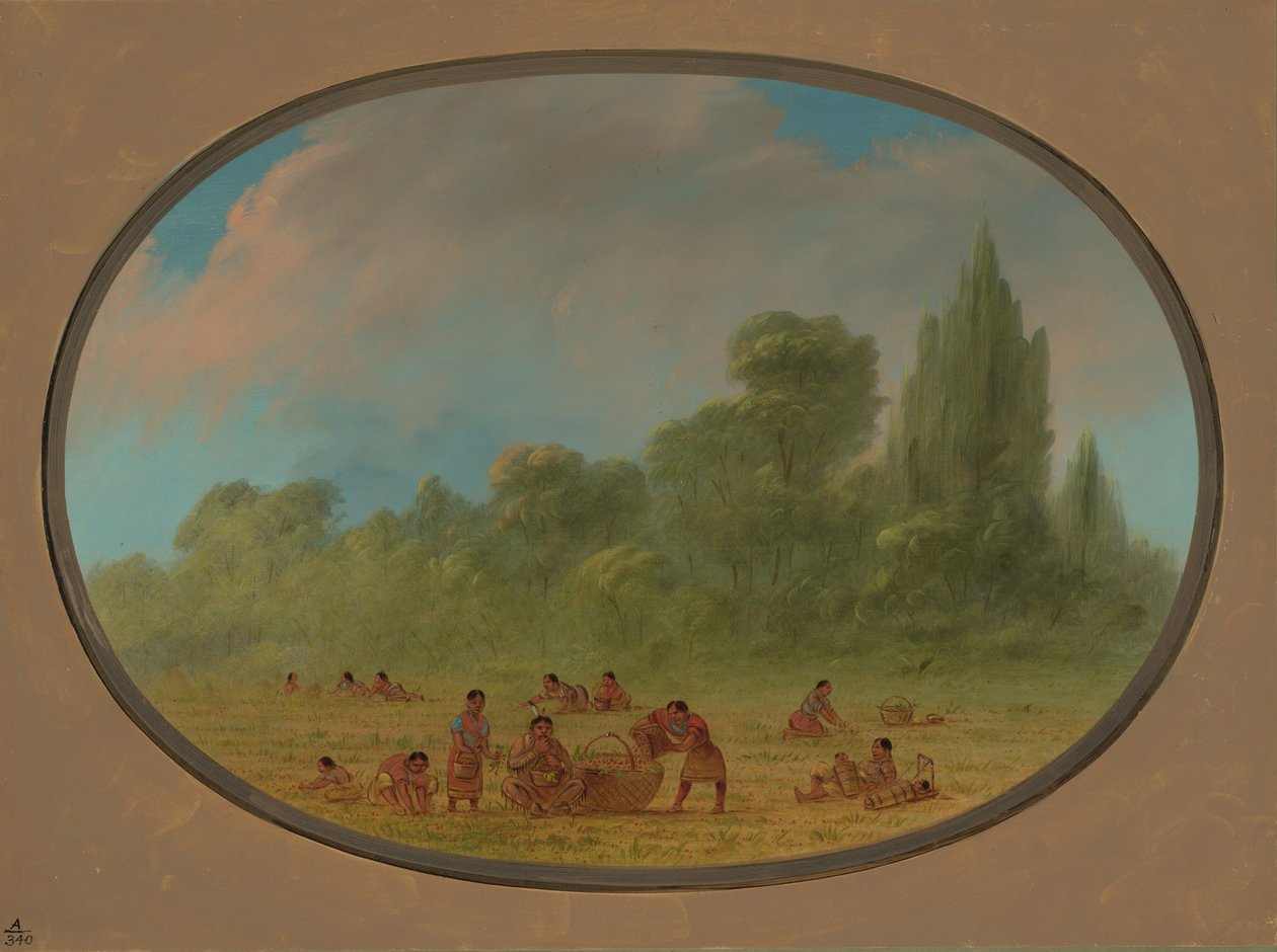 Yabani Çilek Toplama Caddo Kızılderilileri, 18611869. by George Catlin
