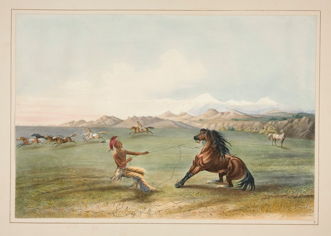 Vahşi Atı Yakalamak, pl. Kuzey Amerika Kızılderili Portföyünden 4 by George Catlin