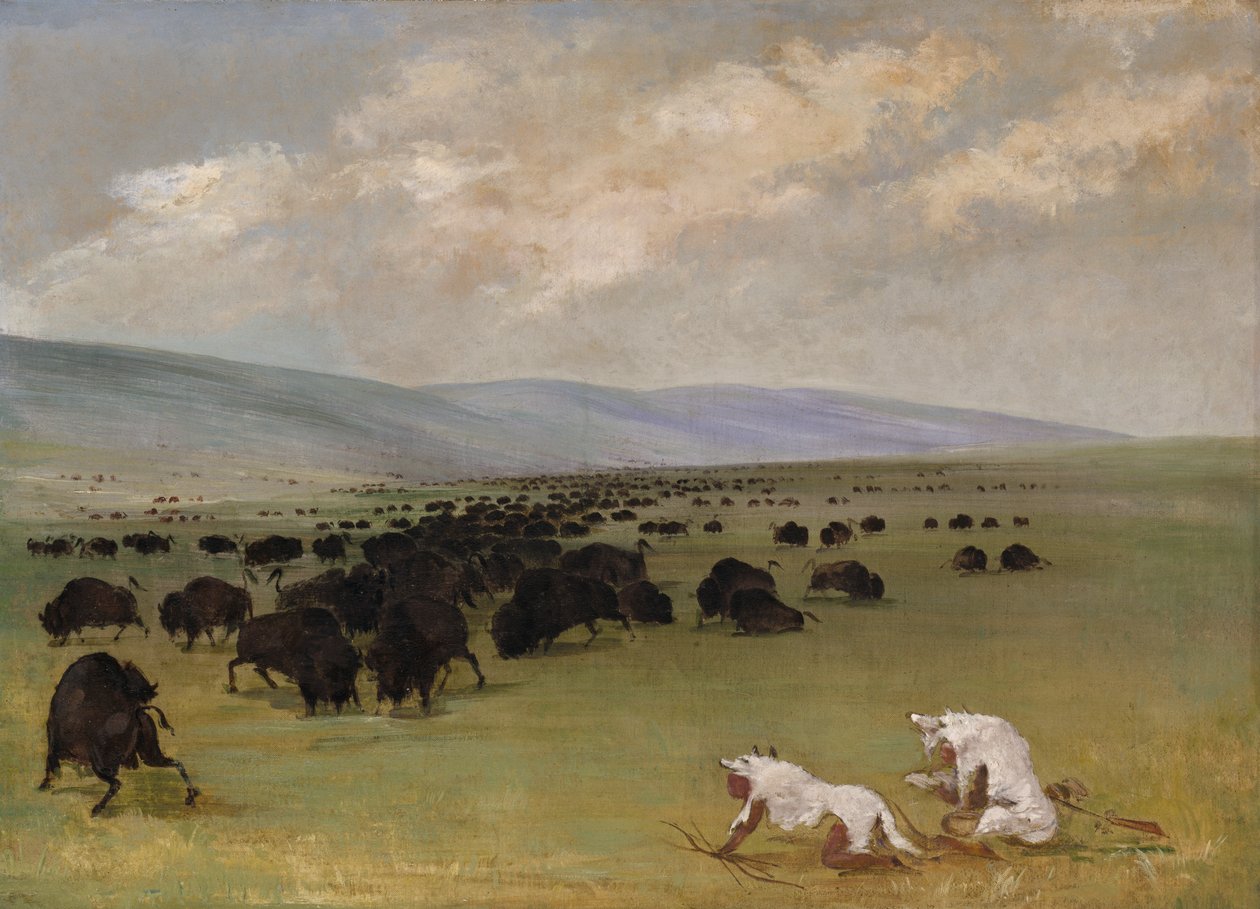 Catlin ve Kızılderili Rehberi Beyaz Kurt Derileri Altında Bufaloya Yaklaşıyor, 1846-1848. by George Catlin