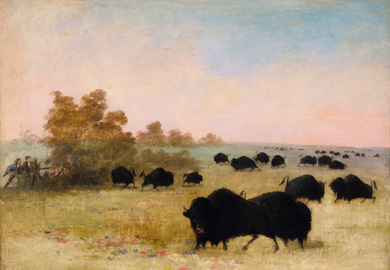  by George Catlin