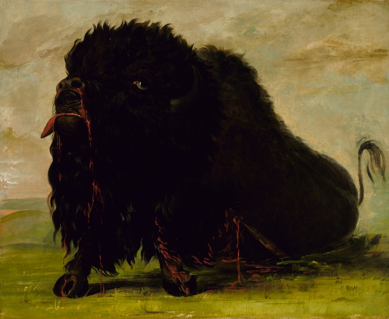 Ölen Bufalo, Okla Vurulmuş, 1832-1833. by George Catlin