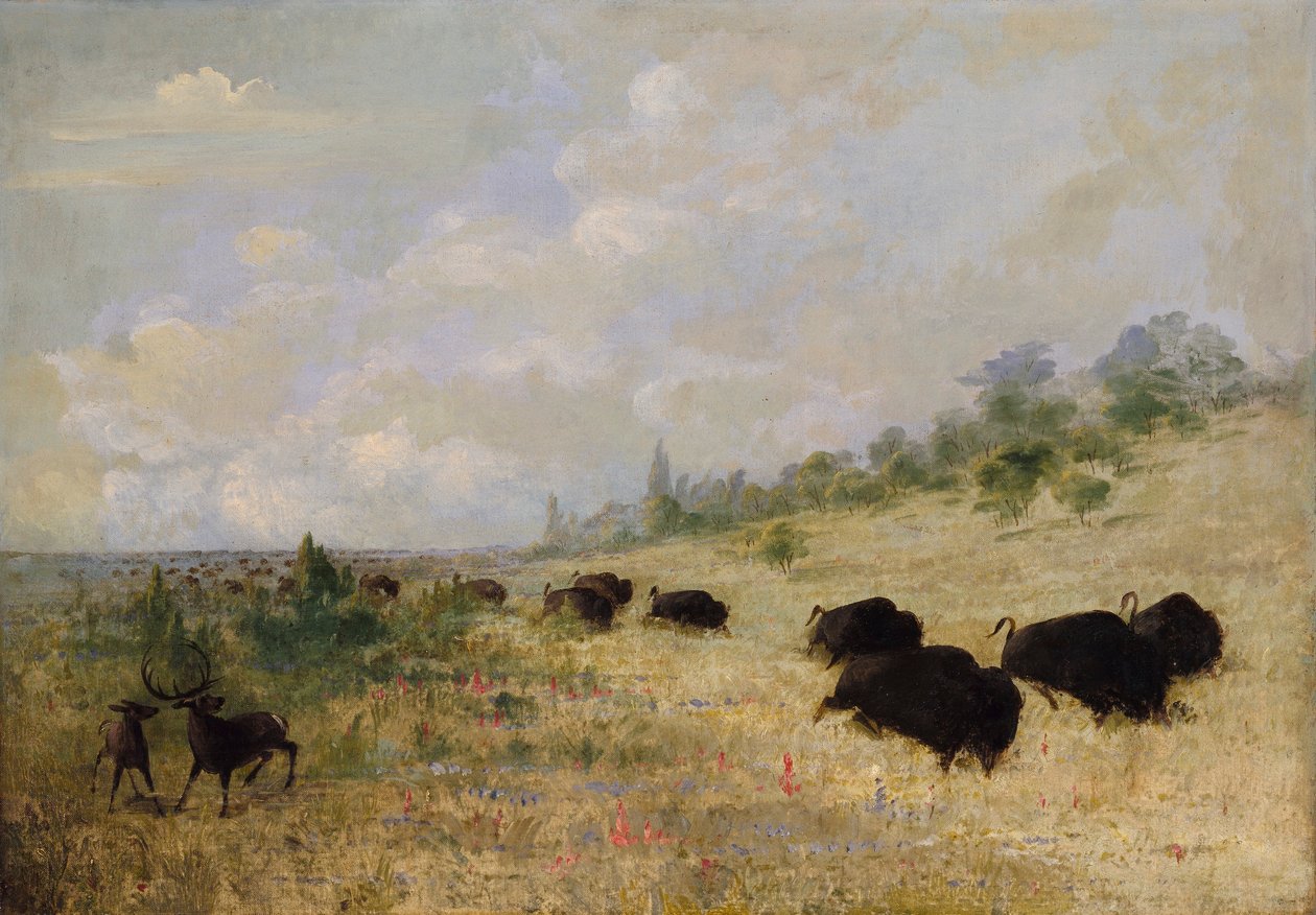  by George Catlin