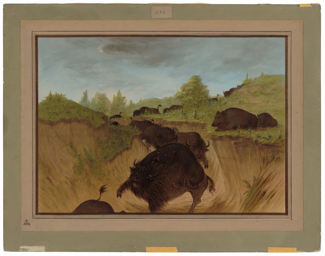 Bufaloya Saldıran Boz Ayılar by George Catlin