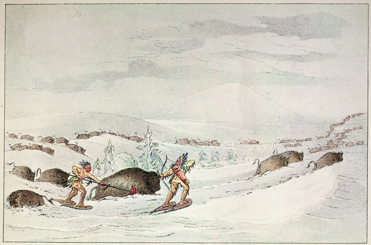 Kar ayakkabısı üzerinde bufalo avlamak by George Catlin