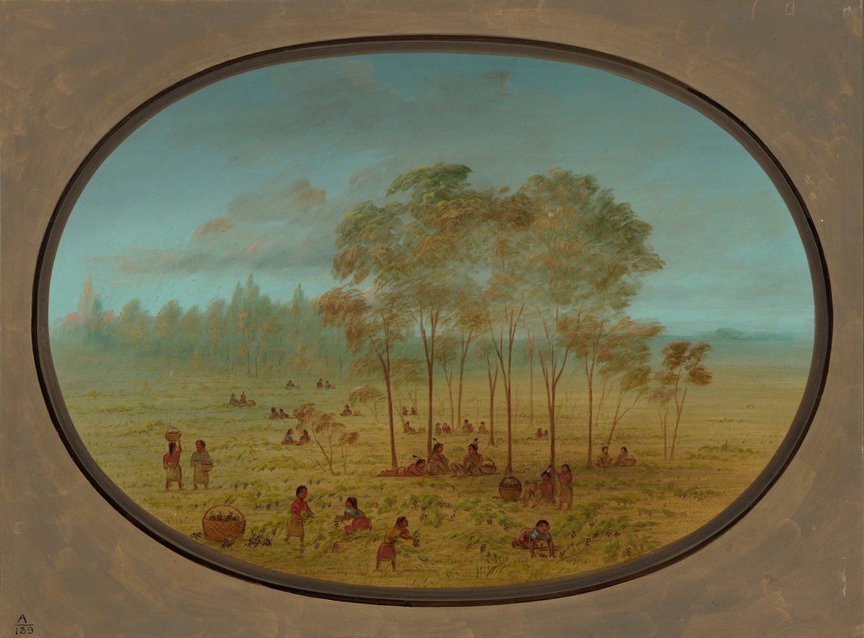Yaban Üzümlerini Toplayan Kiowa Kızılderilileri, 18611869. by George Catlin