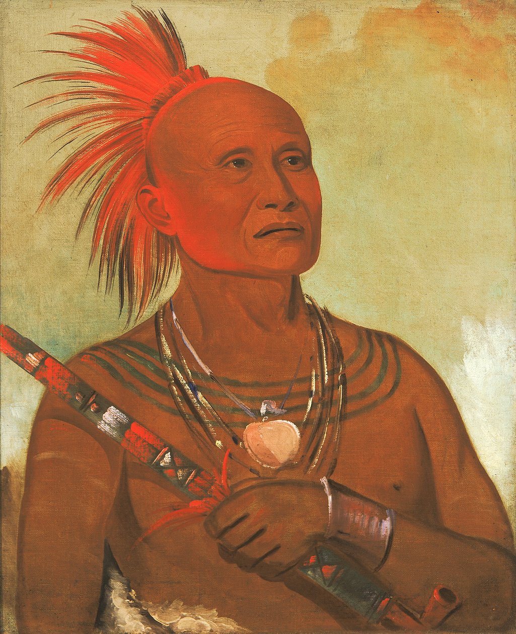 Pam-a-hó, Yüzücü, Kara Şahin