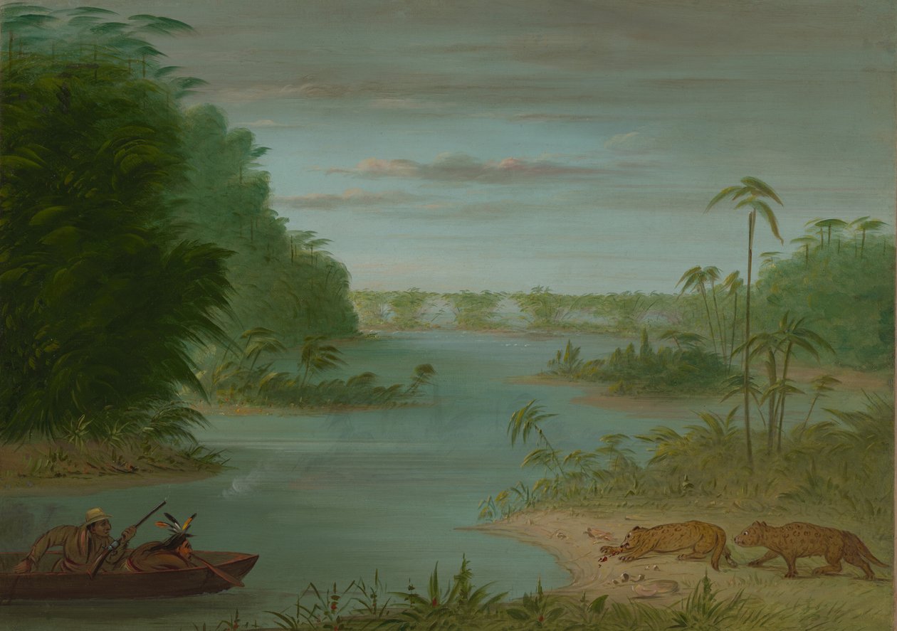Avuç İçi Köprüsü ve Kaplan Vuruşu, 18541869. by George Catlin