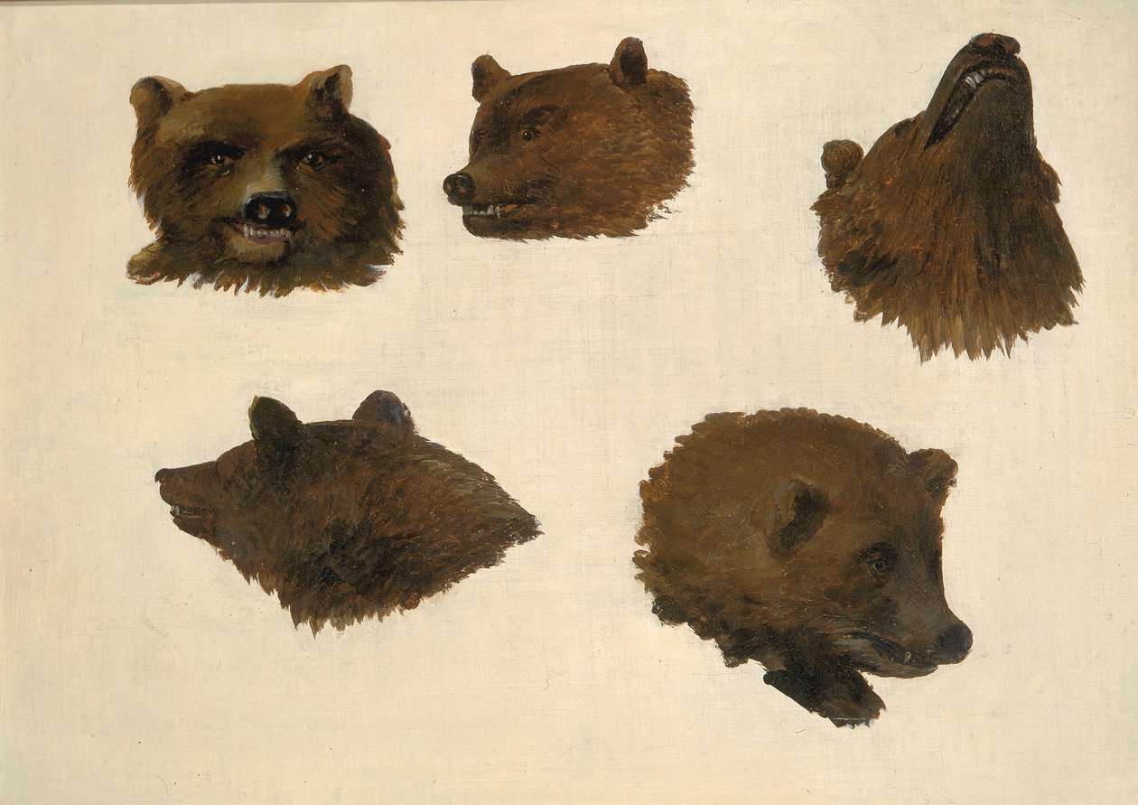 İki Boz Ayı Portreleri, Yaşamdan, 1839-1840. by George Catlin