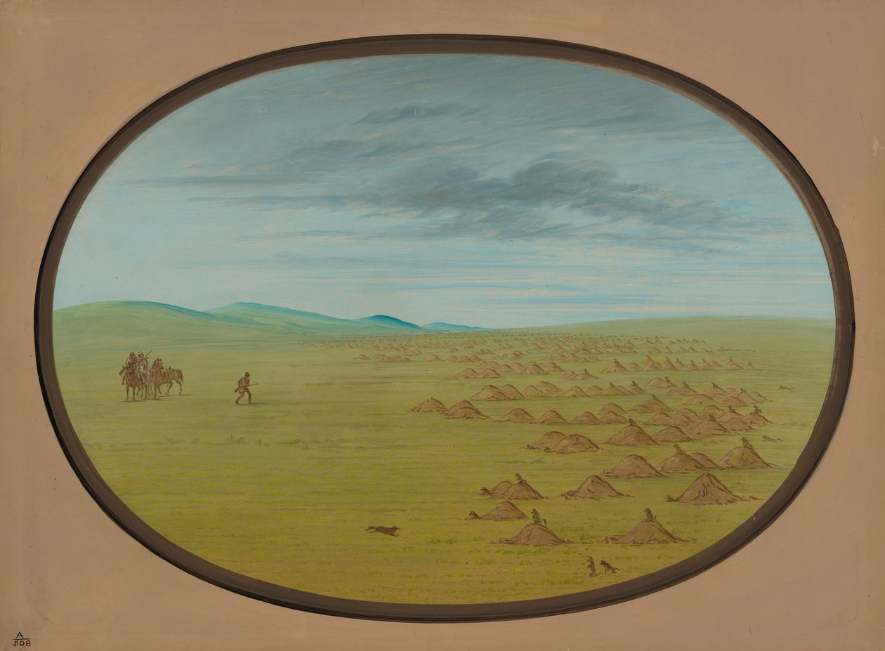 Çayır Köpeği Köyü, 18611869. by George Catlin