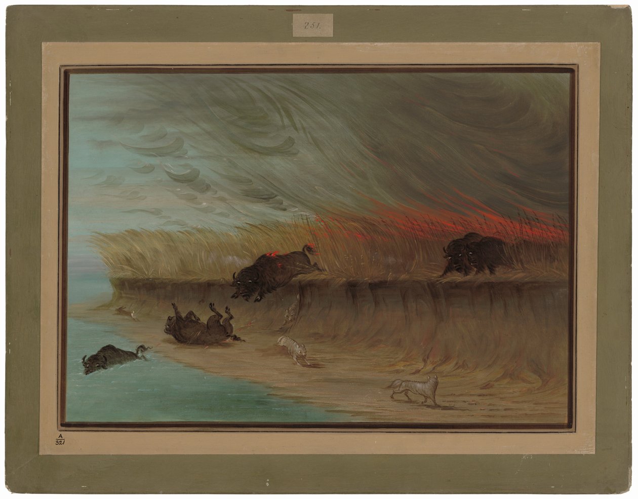 Çayır Çayırları Yanıyor by George Catlin