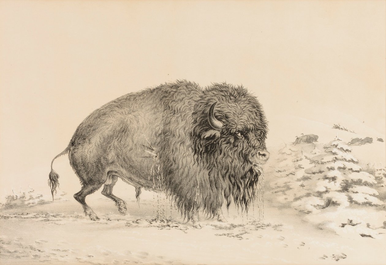  by George Catlin