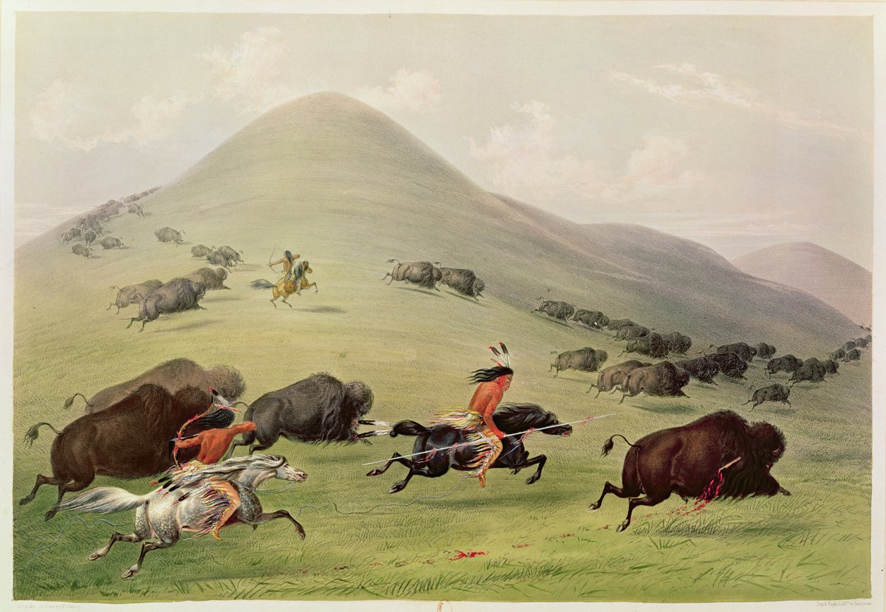 Bufalo Avı, 1832 dolayları by George Catlin